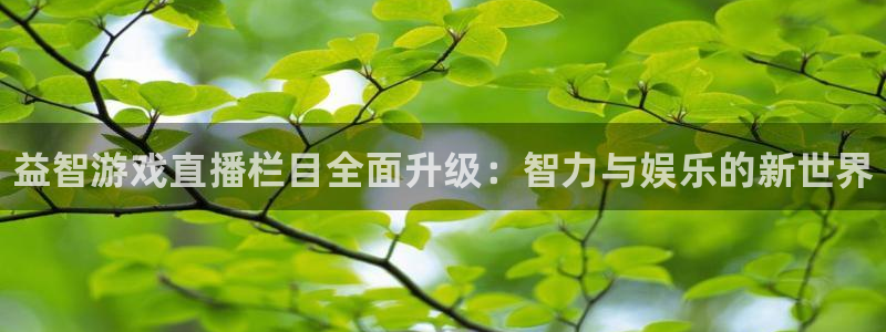 星欧娱乐官网：益智游戏直播栏目全面升级：智力与娱乐的新世界