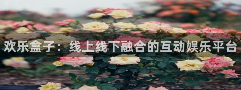 星欧娱乐官网登录：欢乐盒子：线上线下融合的互动娱乐平台