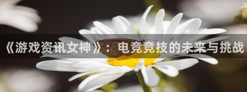 星欧娱乐娱乐：《游戏资讯女神》：电竞竞技的未来与挑战