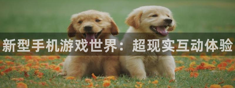 星欧娱乐4招商：新型手机游戏世界：超现实互动体验