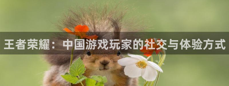 星欧娱乐网页登录入口：王者荣耀：中国游戏玩家的社交与体验方式