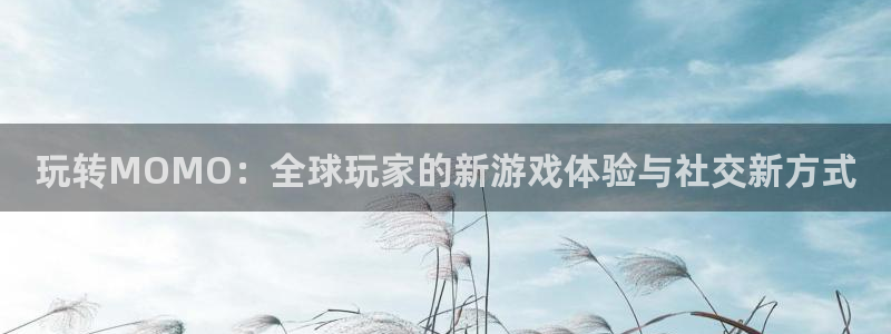 星欧娱乐线路测试：玩转MOMO：全球玩家的新游戏体验与社交新