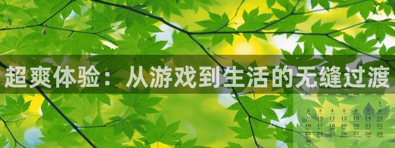 星欧娱乐平台登录线路：超爽体验：从游戏到生活的无缝过渡