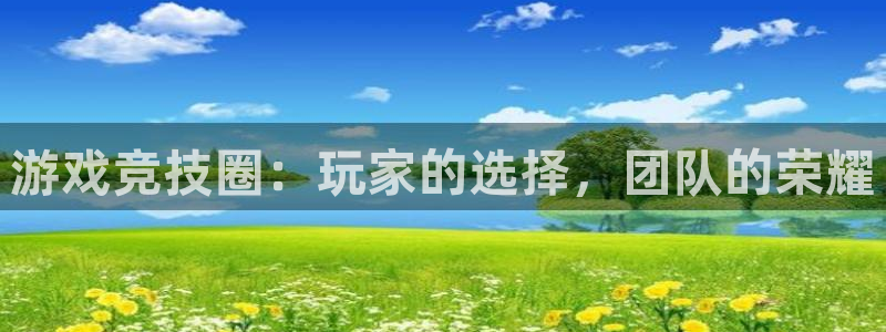 星欧娱乐注册地址：游戏竞技圈：玩家的选择，团队的荣耀