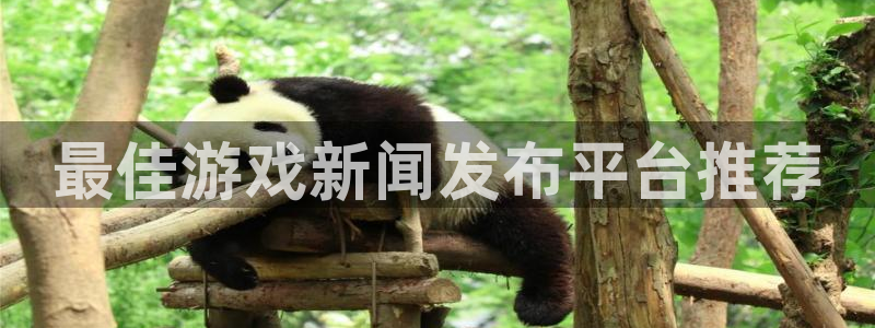 星欧娱乐是什么：最佳游戏新闻发布平台推荐